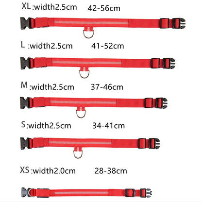The Glow-Guard | Luxury LED USB Safety Collar
