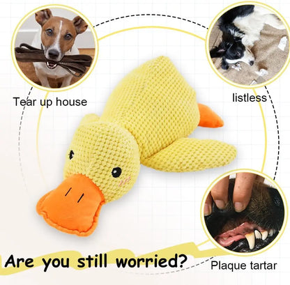 The Quack-Back | Durable Plush Duck Companion