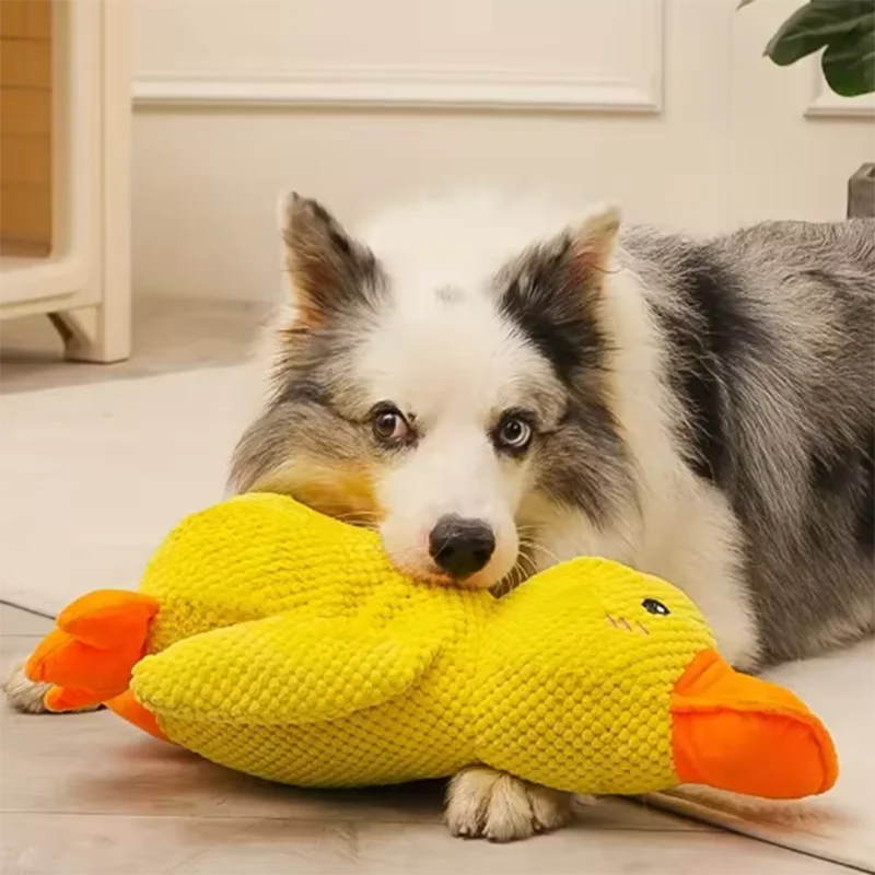 The Quack-Back | Durable Plush Duck Companion
