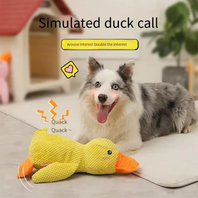 The Quack-Back | Durable Plush Duck Companion