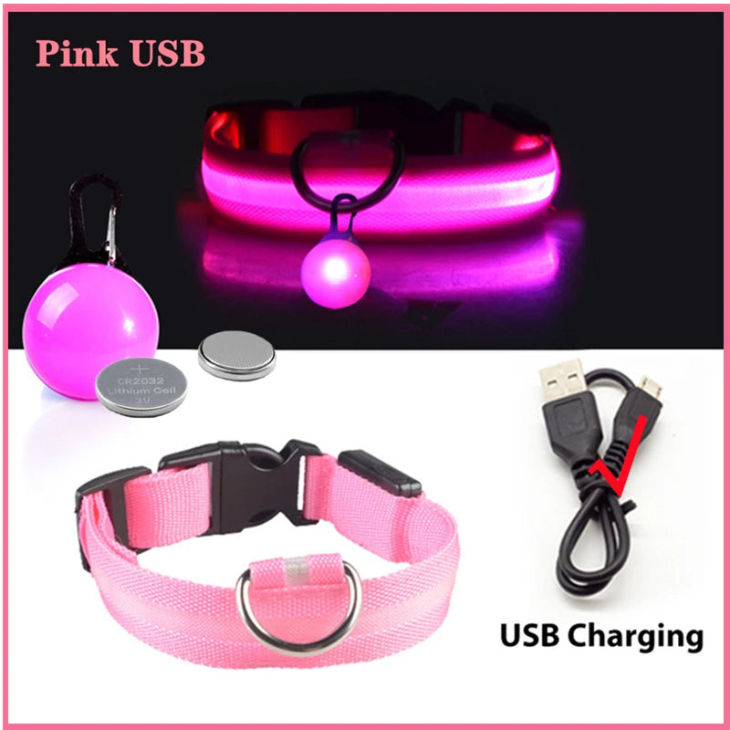 The Glow-Guard | Luxury LED USB Safety Collar