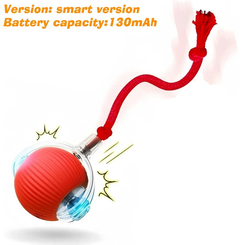 The Smart-Roll | Automatic Intelligent Play Ball