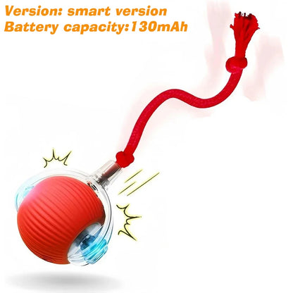 The Smart-Roll | Automatic Intelligent Play Ball
