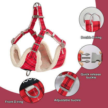 The Highland Harvest | 3-in-1 Essential Walking Trio