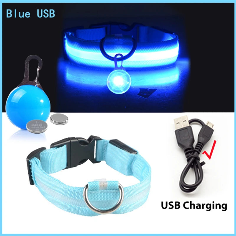The Glow-Guard | Luxury LED USB Safety Collar