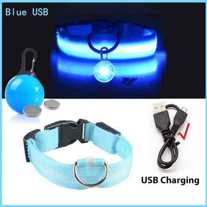 The Glow-Guard | Luxury LED USB Safety Collar