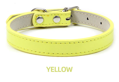 The Windsor | Soft-Touch Classic Leather Collar
