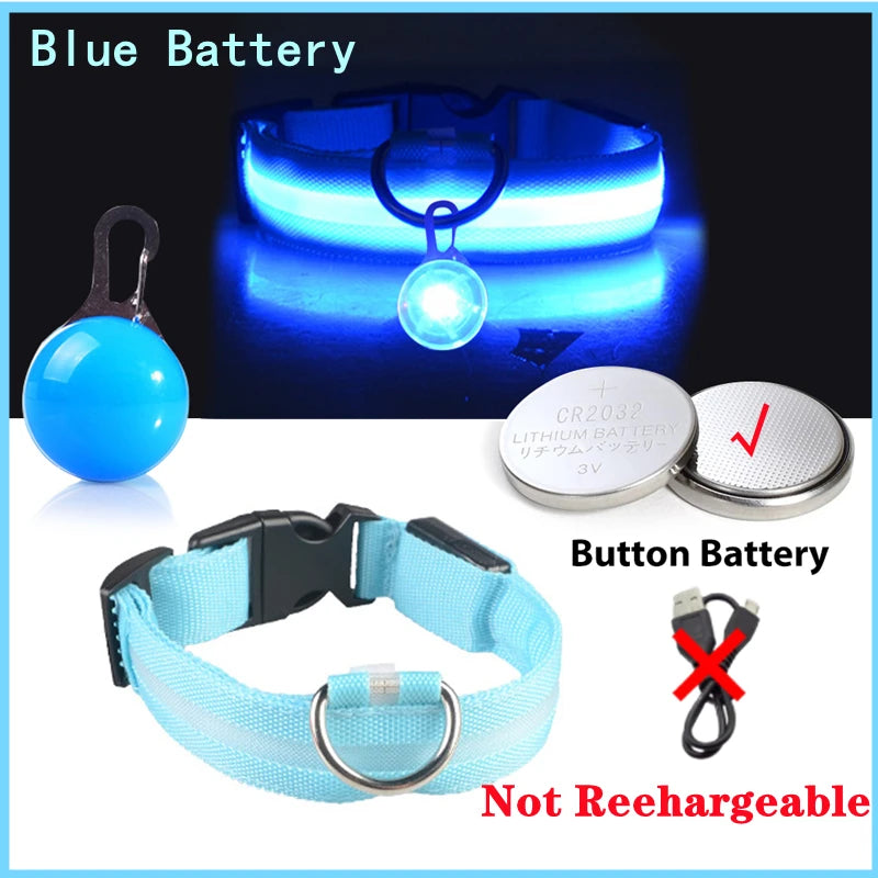 The Glow-Guard | Luxury LED USB Safety Collar