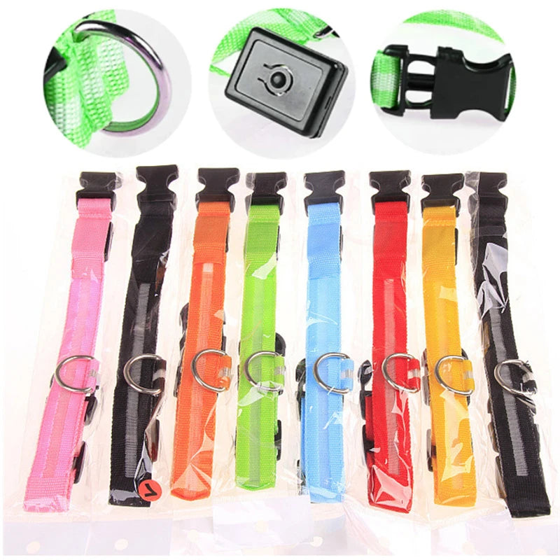 The Glow-Guard | Luxury LED USB Safety Collar