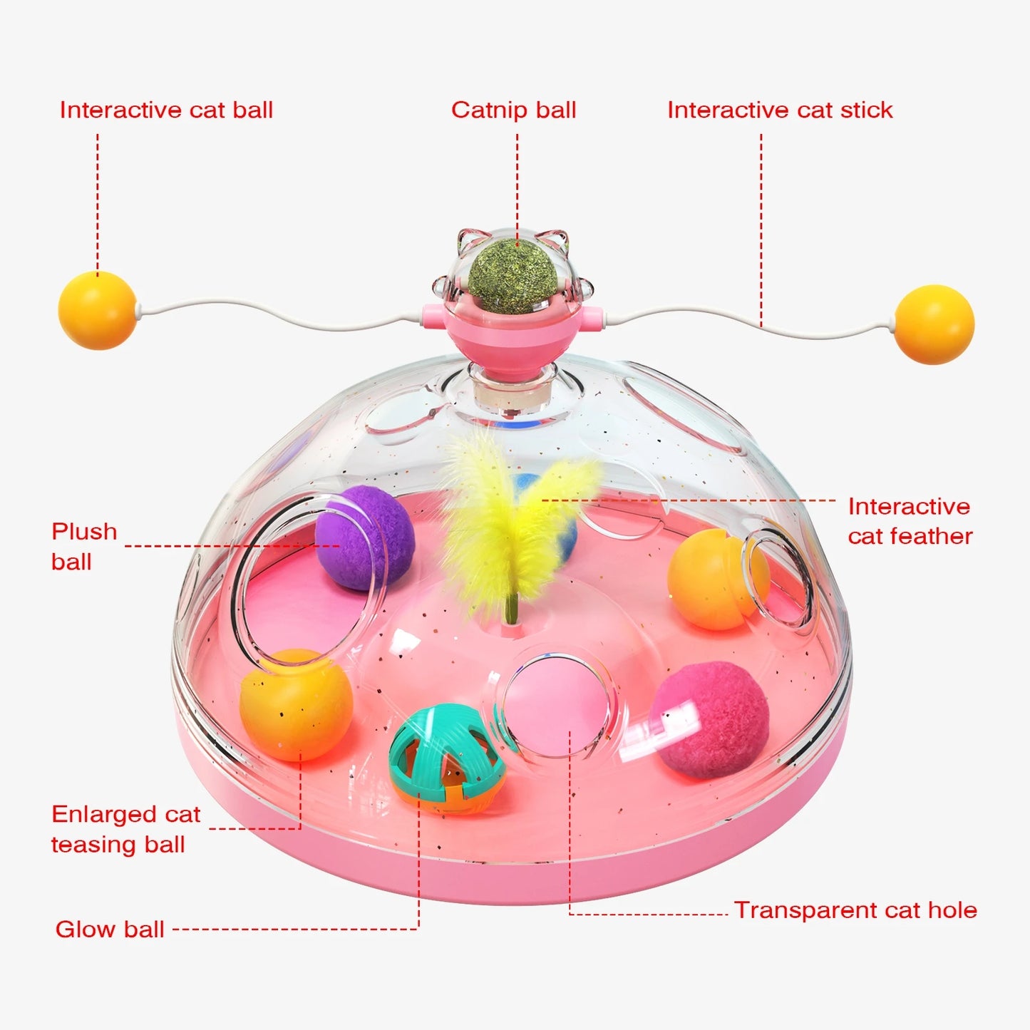 The Enigma Chest | Multi-Level Sensory Enrichment Toy