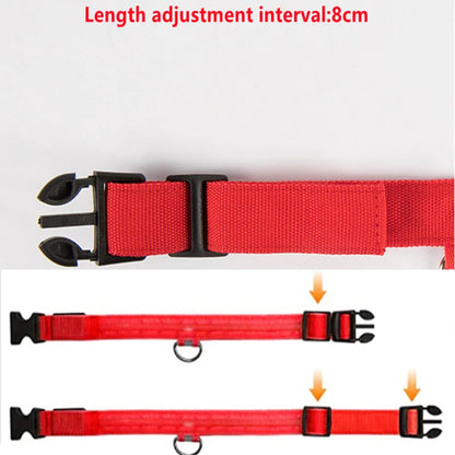 The Glow-Guard | Luxury LED USB Safety Collar