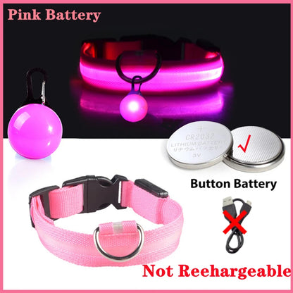 The Glow-Guard | Luxury LED USB Safety Collar