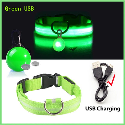 The Glow-Guard | Luxury LED USB Safety Collar