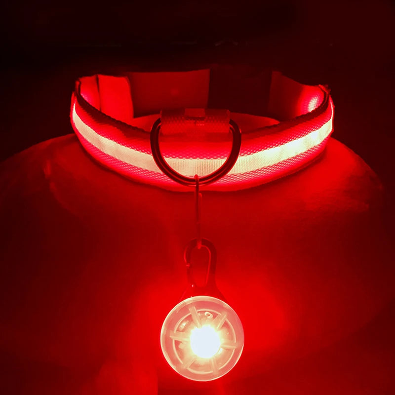 The Glow-Guard | Luxury LED USB Safety Collar