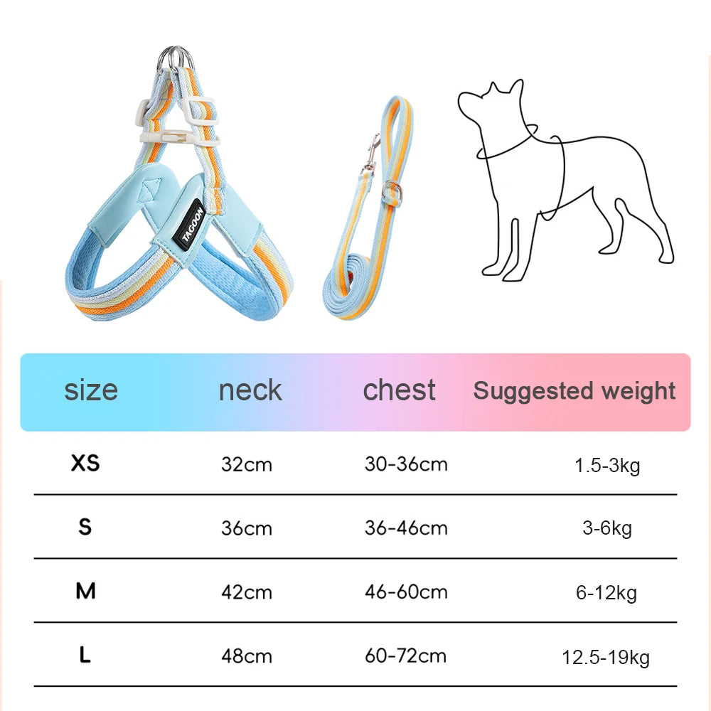The Explorer | Y-Shape Harness & Detachable Trail Pack