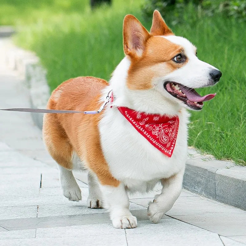 The Cotswold Bandana | Classic Heritage Scarf Collar