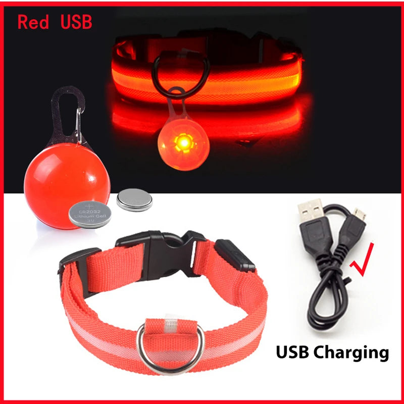 The Glow-Guard | Luxury LED USB Safety Collar