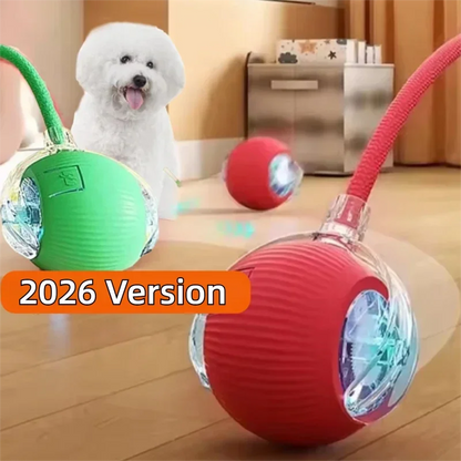 The Smart-Roll | Automatic Intelligent Play Ball