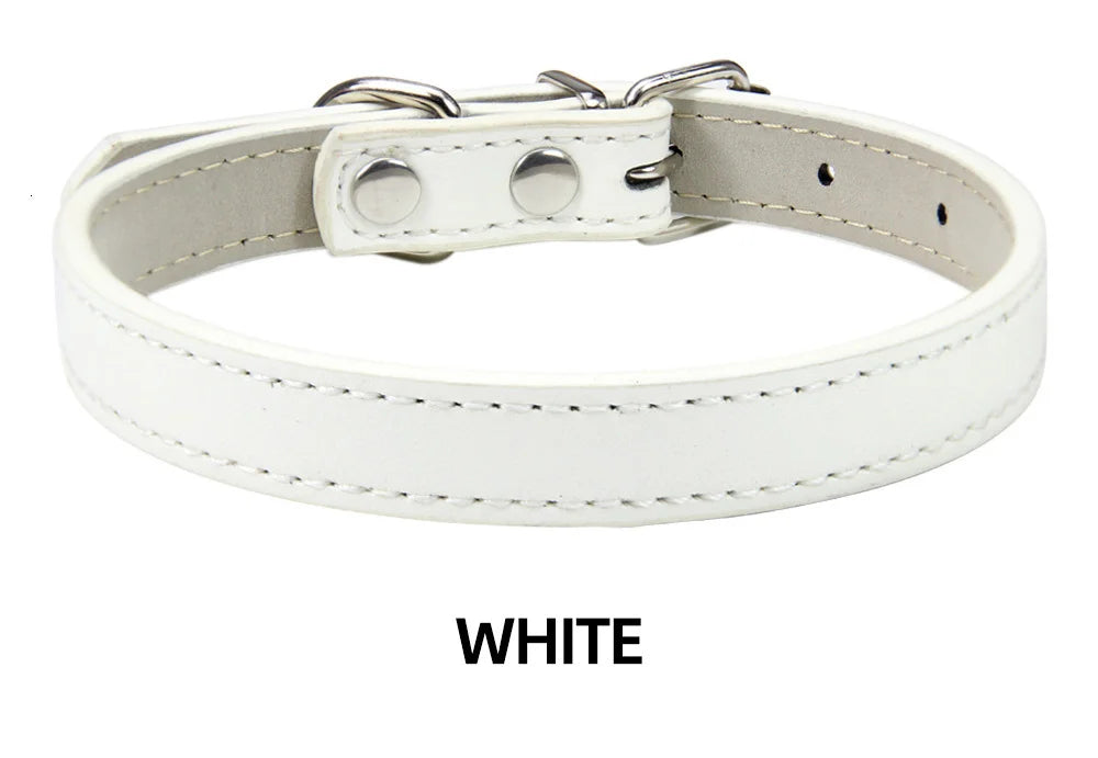 The Windsor | Soft-Touch Classic Leather Collar