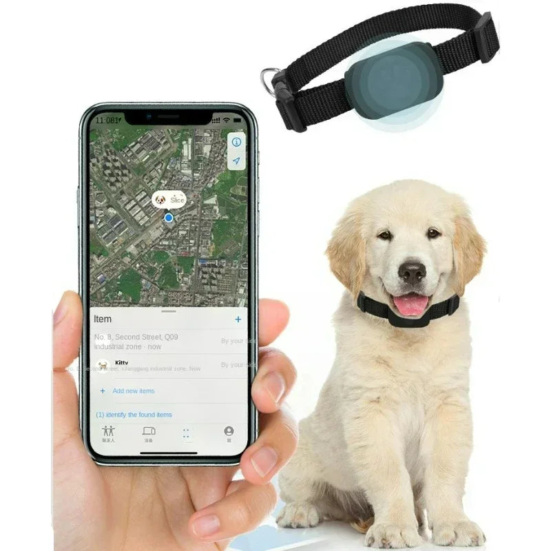 The Sentinel | Global Real-Time GPS Tracker