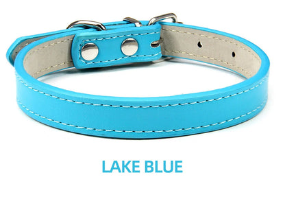 The Windsor | Soft-Touch Classic Leather Collar