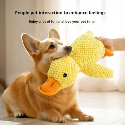 The Quack-Back | Durable Plush Duck Companion