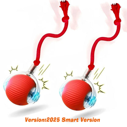 The Smart-Roll | Automatic Intelligent Play Ball